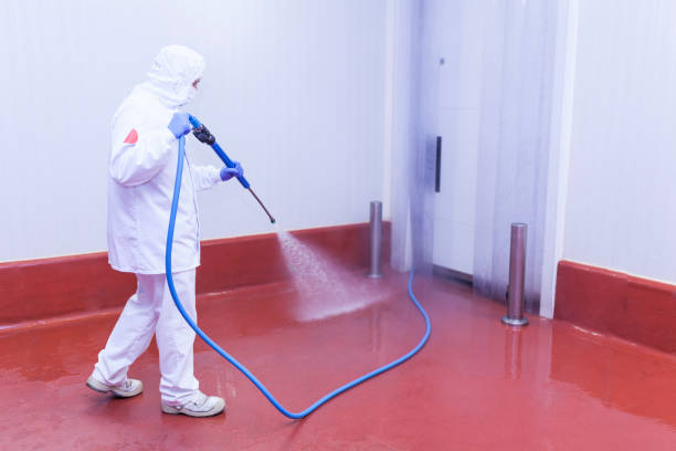 Best Vinyl Siding Pressure Washing in Ellettsville, IN